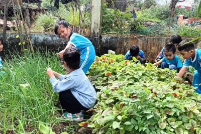 Hình ảnh về bảo vệ môi trường – xanh  – sạch  – đẹp năm học 2024 – 2025